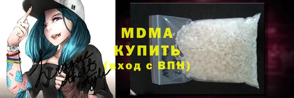 индика Алексин